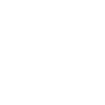 UL Logo - White (150 px)